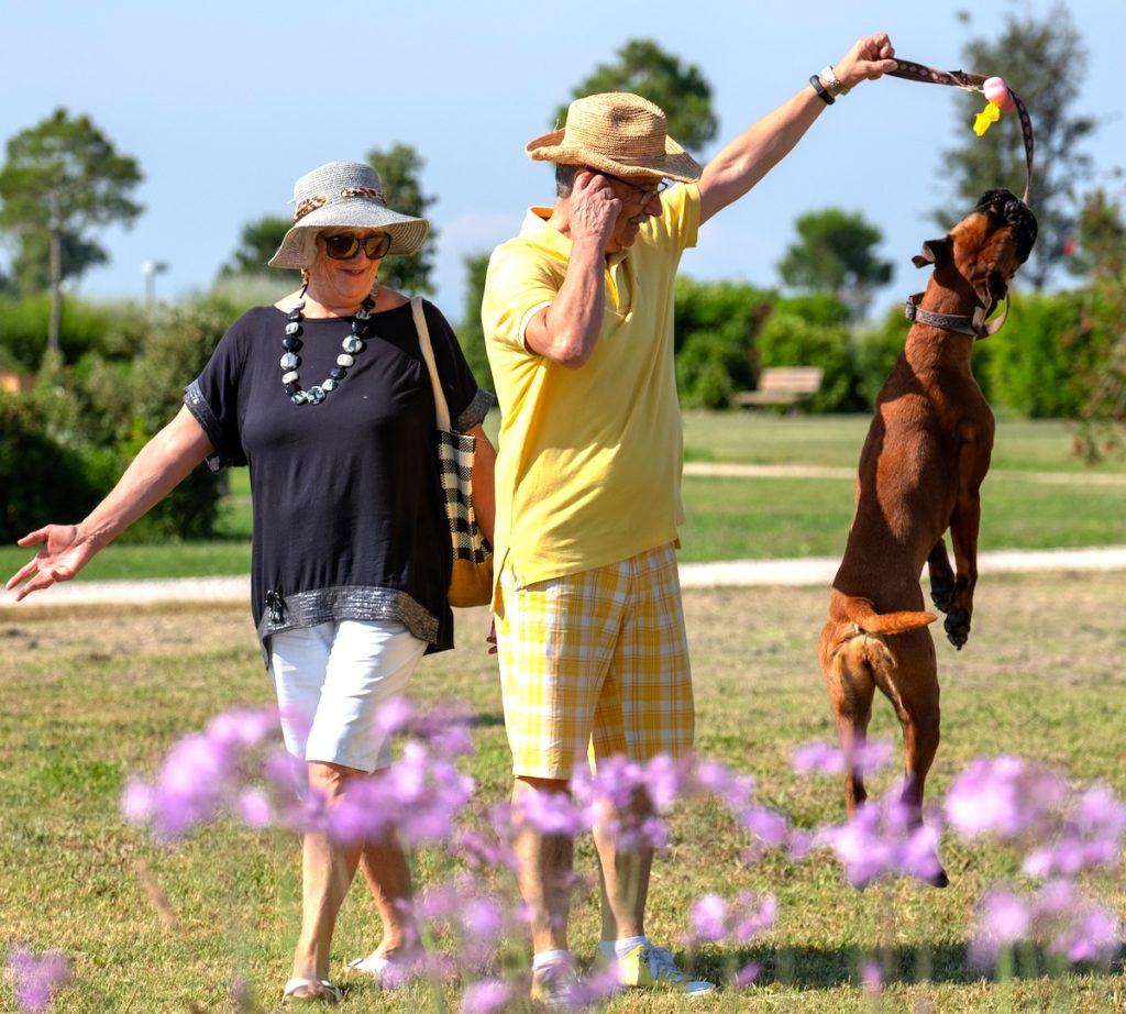 residence toscana mare per animali - Residenza Principina