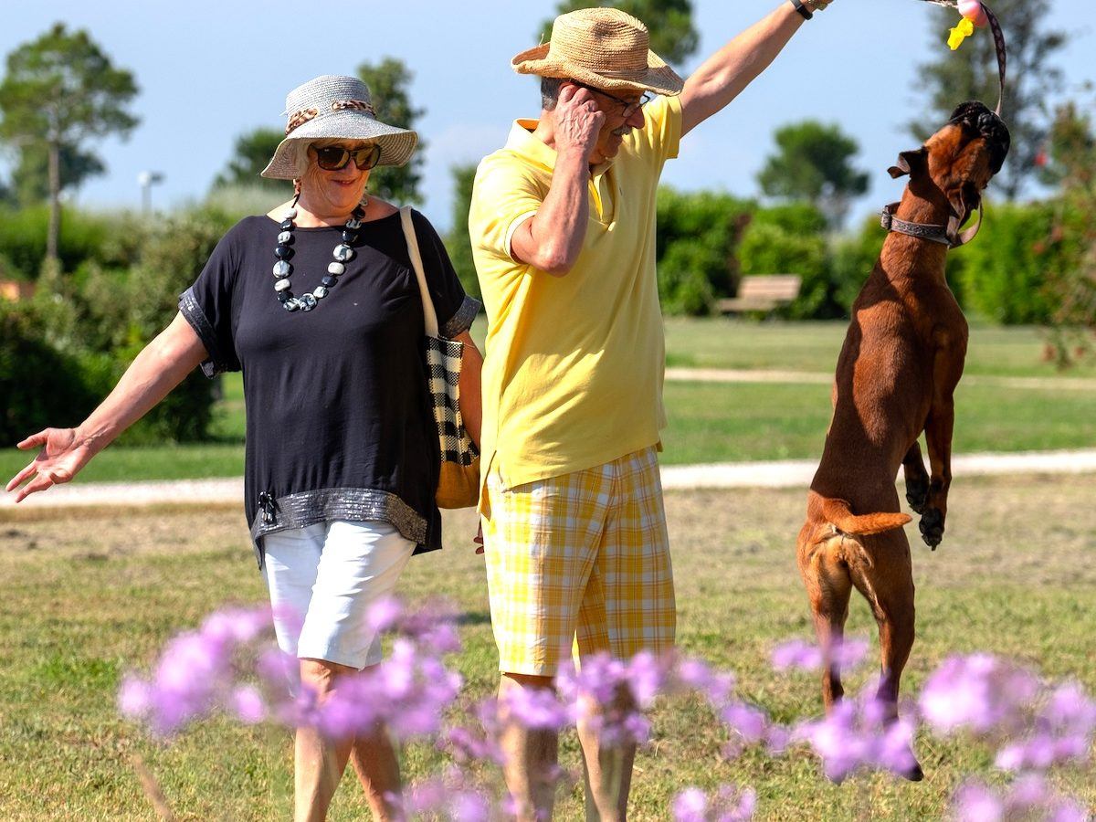 residence toscana mare per animali - Residenza Principina